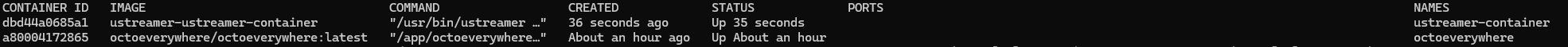 an image of the command line showing output of the docker ps commmand